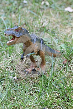 T REX Dinosaurs model on grass background