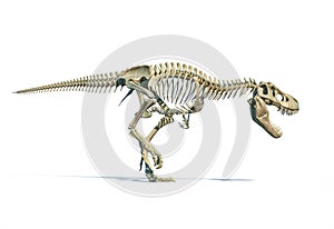T-Rex full skeleton in dynamic pose. 3D illustration
