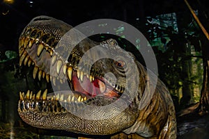 T-Rex head in portrait. Drumheller. Dinosaur museum Drumheller Alberta Canada