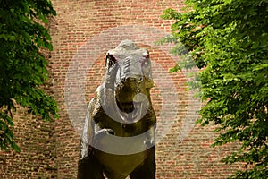 T-rex near the walls