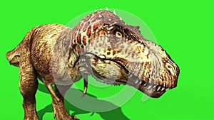 T Rex Tyrannosaur Feathered Roar Face Loop Jurassic World Dinosaurs Green Screen