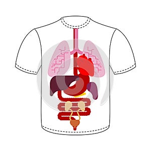 T-shirt Internal organs. Human anatomy. Systems of man body and