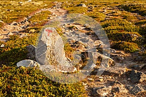 T sign turistforening mountain landscape Norway national park Do