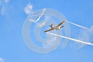 The T-28 Trojan plane from the Red Bull aerobatic team