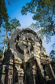 Ta Nei Temple at Siem Reap, Cambodia photo