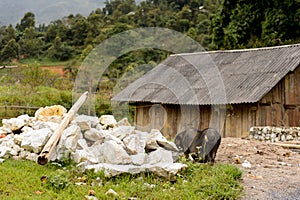 Ta Phin village in Vietnam