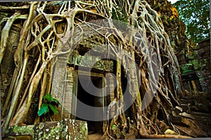 Ta Phrom Doorway photo