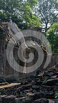 Ta Phrom temple with trees growing from the rocks (which inspired Tombraider, Lara Croft