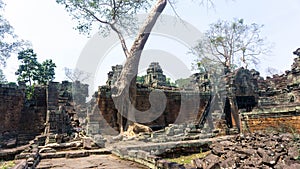 Ta Phrom temple with trees growing from the rocks (which inspired Tombraider, Lara Croft