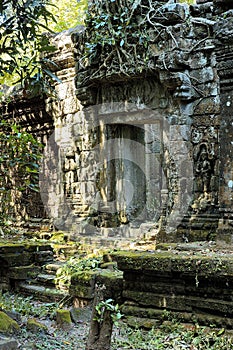 Ta Prohm