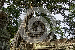 Ta Prohm