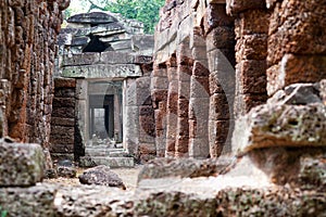 Ta Prohm in Angkor, Cambodia