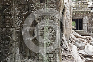 Ta Prohm in Angkor