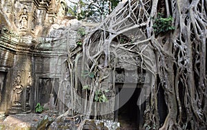 Ta Prohm