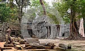 Ta Prohm Angkor Wat Cambodia