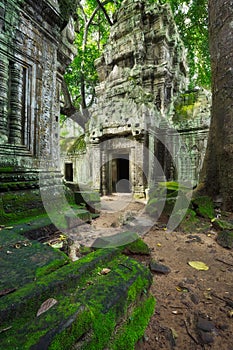 Ta Prohm, Asia. Siem Reap, Cambodia. Ancient Khmer architecture in jungle