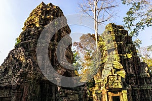 Ta Prohm in Cambodia