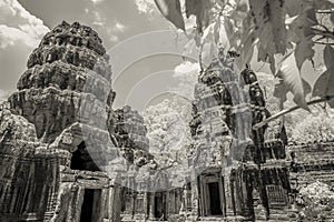 Ta Prohm Monastery in black and white