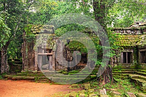 Ta Prohm, part of ancient Khmer temple complex in jungle.