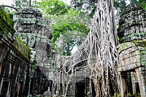 Ta Prohm