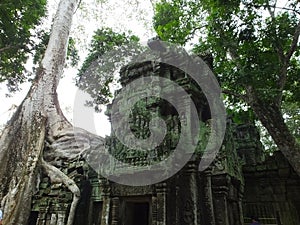 Ta Prohm (Rajavihara), a temple at Angkor, Province, Cambodia.