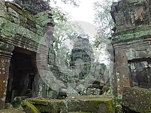 Ta Prohm (Rajavihara), a temple at Angkor, Province, Cambodia.