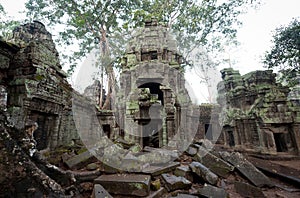 Ta Prohm Ruins