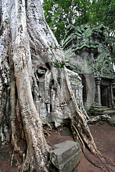 Ta Prohm Temple