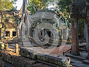 Ta Prohm Temple