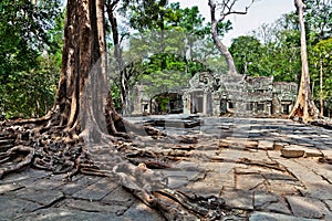 Ta Prohm temple