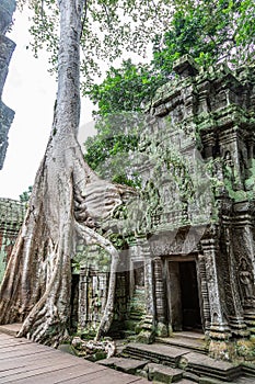 Ta Prohm Temple