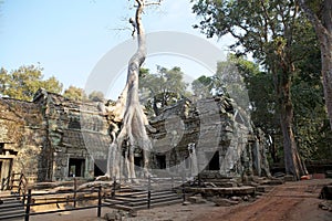 Ta Prohm temple