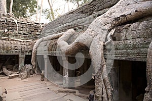 Ta Prohm temple