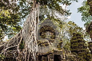 Ta Prohm temple