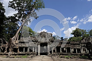 Ta Prohm Temple