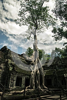 Ta Prohm temple