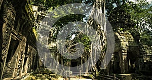 Ta Prohm temple