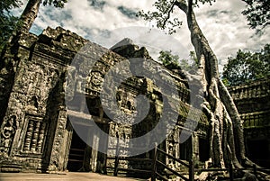 Ta Prohm temple