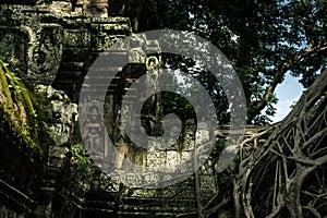 Ta Prohm temple