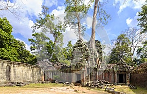 Ta Prohm temple in Angkor