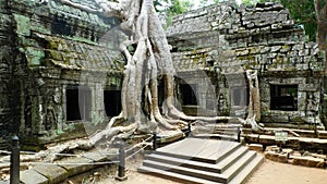 Ta Prohm Temple, Angkor, Cambodia