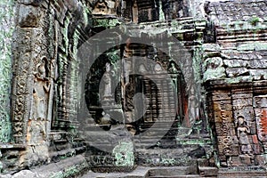 Ta Prohm Temple, Angkor, Cambodia
