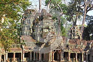Ta Prohm temple at Angkor, Siem Reap Province, Cambodia