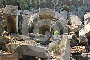 Ta Prohm temple at Angkor, Siem Reap Province, Cambodia