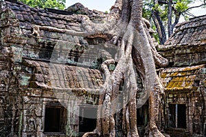 Ta Prohm temple at Angkor, Siem Reap Province, Cambodia
