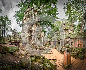 Ta Prohm Temple, Angkor Thom, Siem Reap, Cambodia