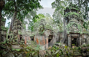 Ta Prohm Temple, Angkor Thom, Siem Reap, Cambodia