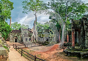Ta Prohm Temple, Angkor Thom, Siem Reap, Cambodia.