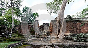 Ta Prohm temple in Angkor Wat