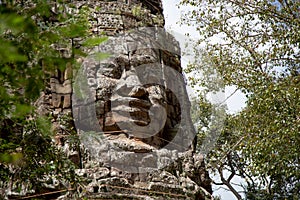 Ta Prohm Temple in Angkor Wat, Cambodia.